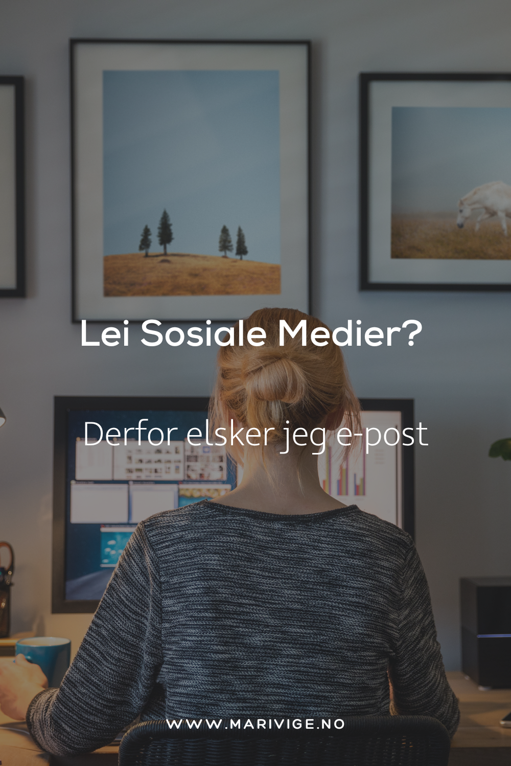 Bilde av dame som jobber ved PC.